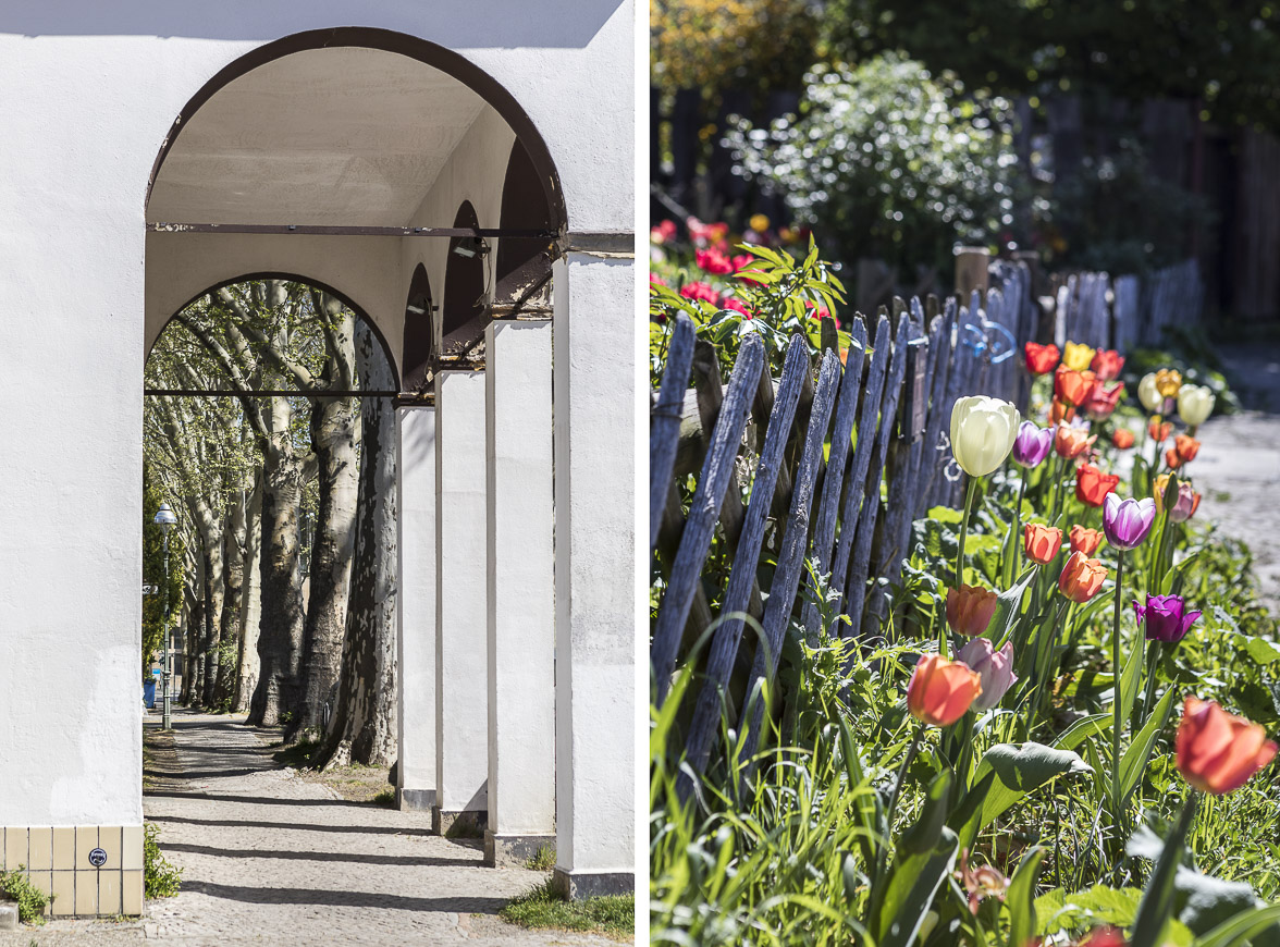 Kiezportrait - Gartenstadt Neu-Tempelhof